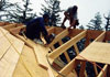 Carpentry